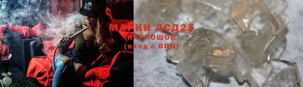 стаф Алексин