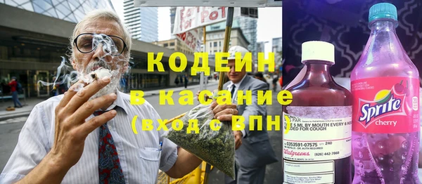 дурь Алзамай