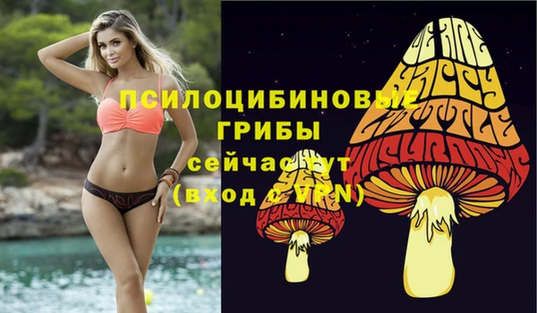 дурь Алзамай