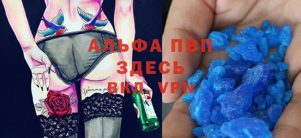стаф Алексин