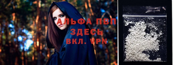 стаф Алексин