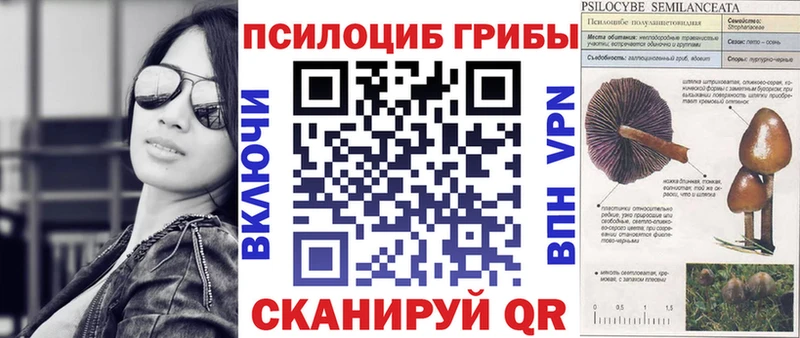 дарк нет формула  Когалым  Псилоцибиновые грибы GOLDEN TEACHER  как найти закладки 