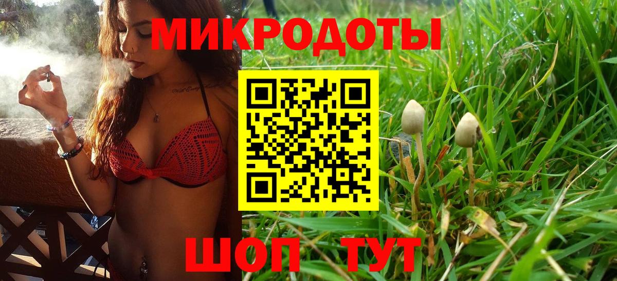 наркошоп  Вход с VPN  Когалым  Галлюциногенные грибы Psilocybe 